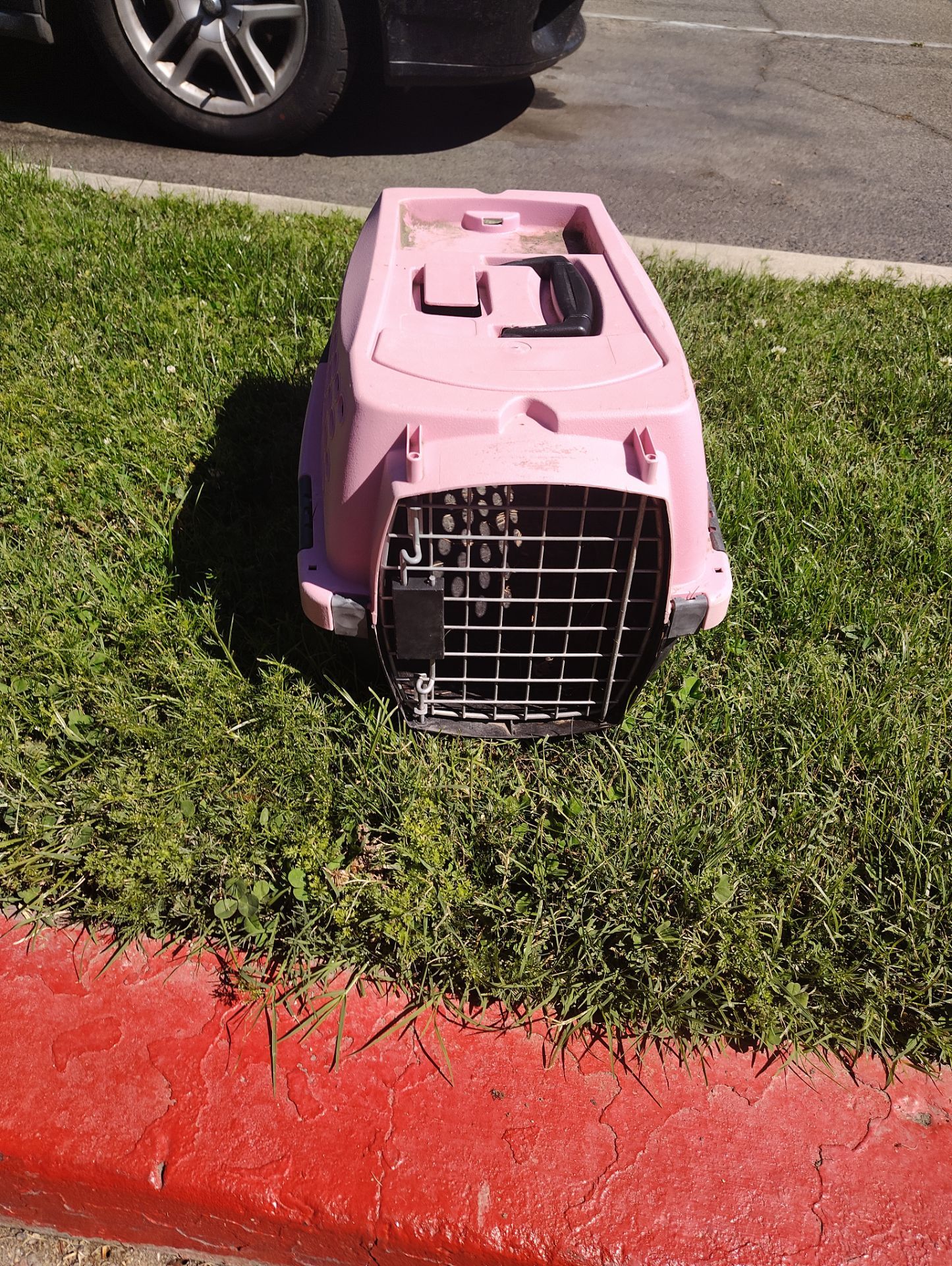 Small pet carrier