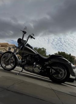 1997 Harley Davidson Softail Custom