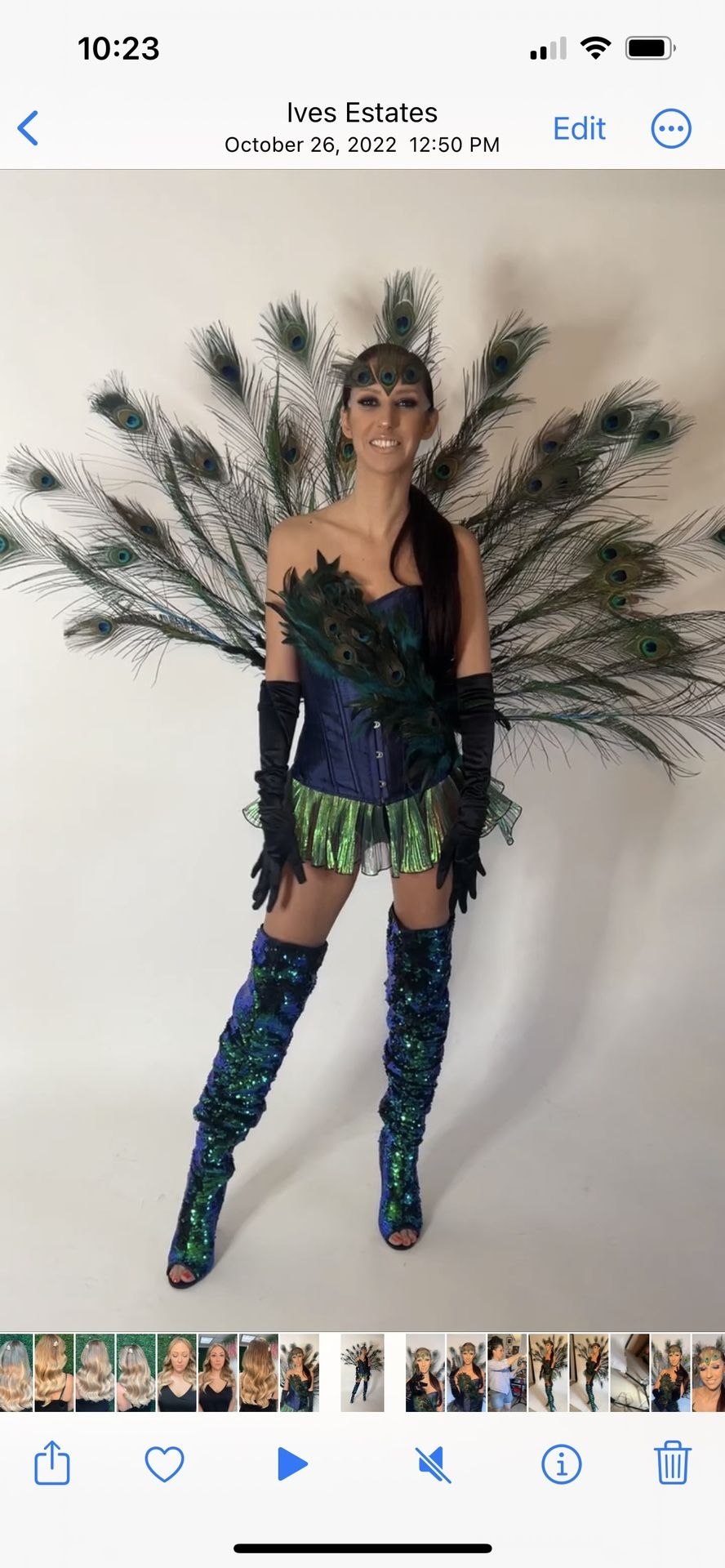 Sexy Peacock Halloween Costumes Size S-m