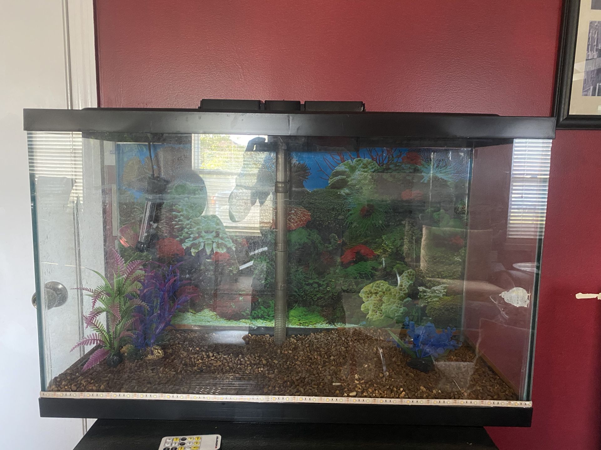 Fish tanks for sale