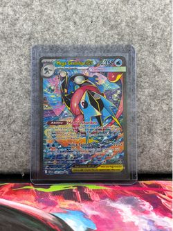 Chaos rising Greninja SIR