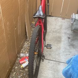 Racing Mountain Bike 