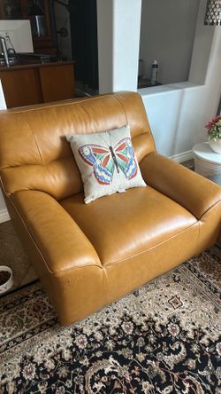 Lounge leather chairs