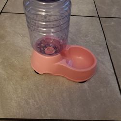 Drink water for pets