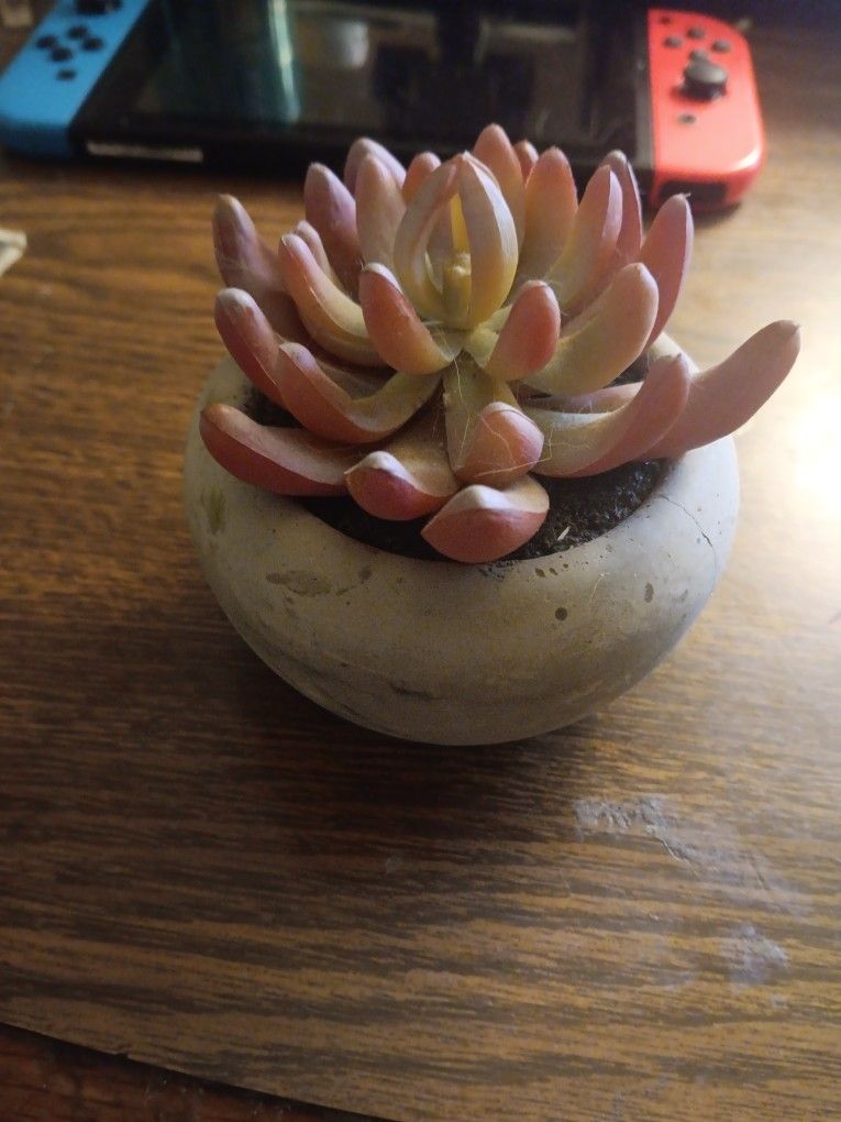 Fake Plant