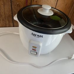 Rice Cooker For $20