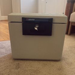 Sentry Fire Safe 
