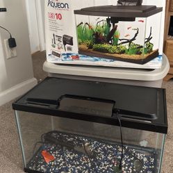 Small Aquarium  