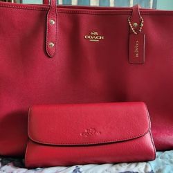 Coach Purse & Wallet