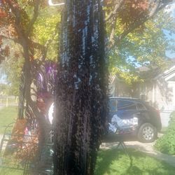 Beautiful VERY HIGH SLITTED DRESS