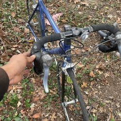 Trek Road Bike