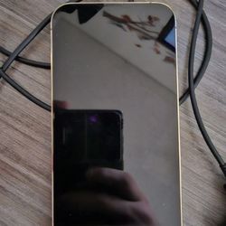 iPhone 13 Pro Max 512 GB Gold
