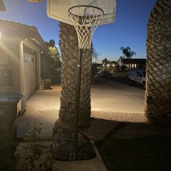Basketball Hoop