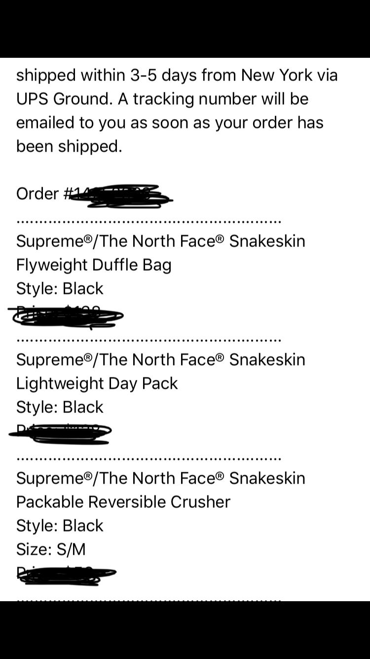 NEW DS Supreme x The North Face Snakeskin Lightweight Backpack for