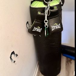 Everlast Punching Bag With Gloves &Chain