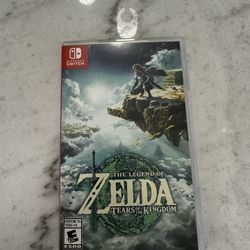 Zelda Tears Of The Kingdom 