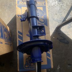Sealed Strut . Brand New 