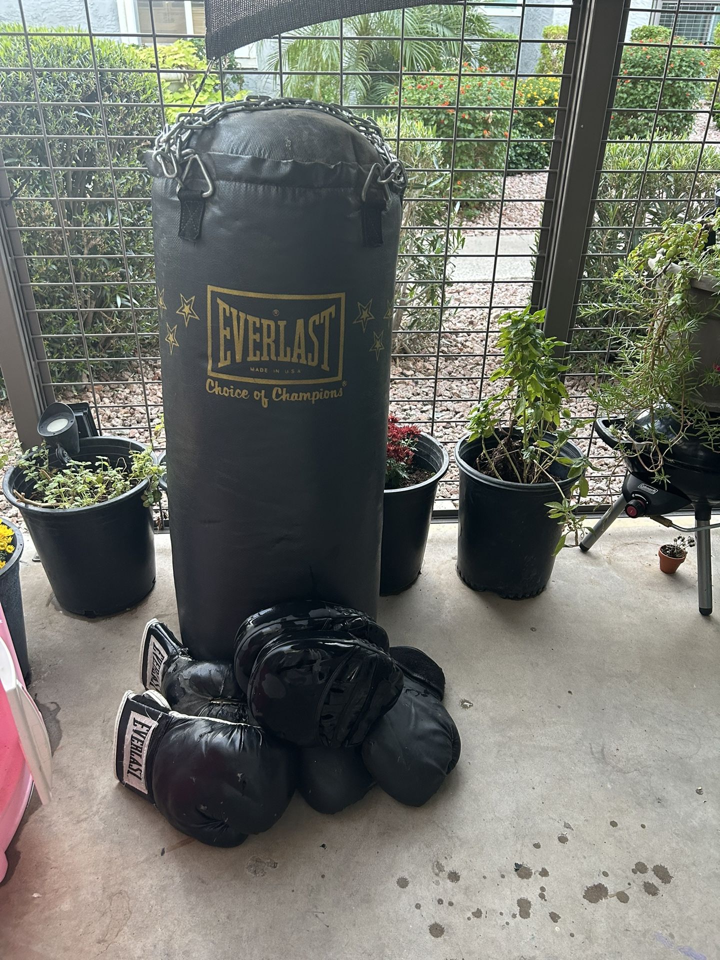 Boxing Set – Everlast Heavy Bag, Gloves & Mitts 🥊