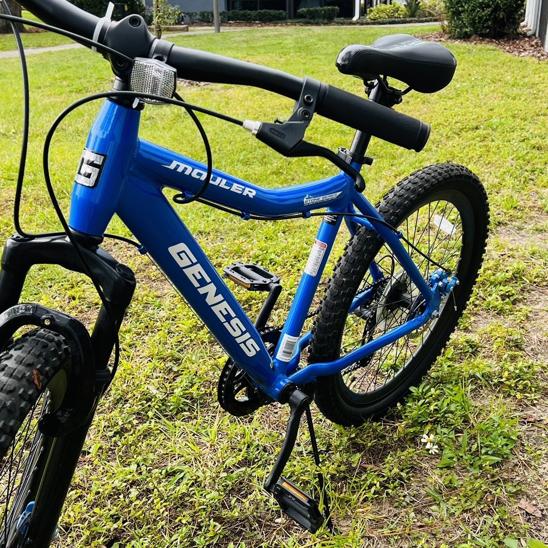 Genesis 24 mauler boy's bike online blue