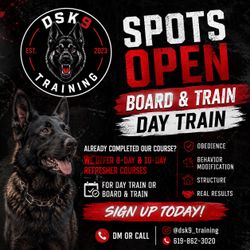 Dog training