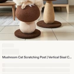 Cat Scratcher mushroom