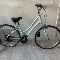 Hybrid Giant Bike