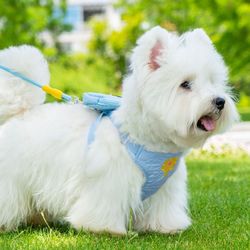 Dog Leash Harness and Backpack