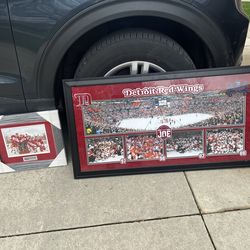 Red wings pics in frames