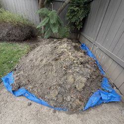Free Dirt