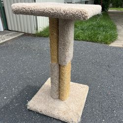 Cat Tower 