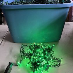 Green 100 Strands Of Lights Not LED