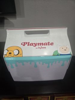 Igloo Cooler