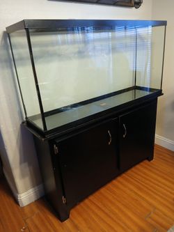65 gallon aquarium fish tank