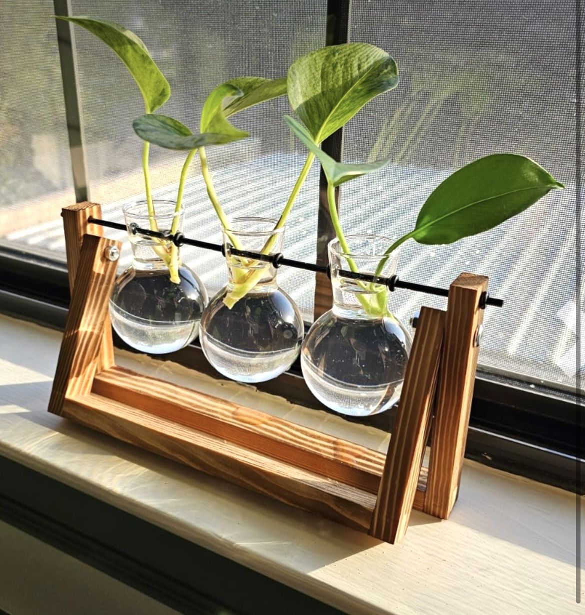 Plant Terrarium with Wooden Stand, Air Planter Bulb Glass Vase Metal Swivel Holder Retro Tabletop Hydroponics Home Garden Office Decoration - 3 Bulbs