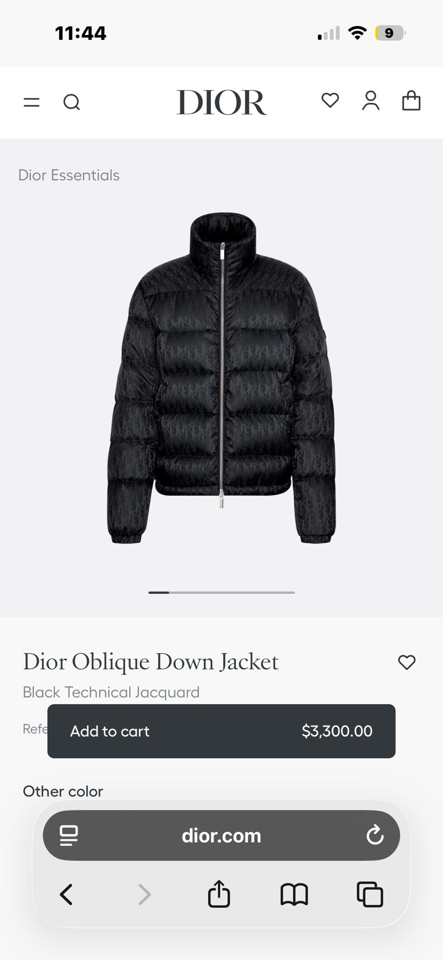 Dior Puffer