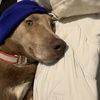 Bryson