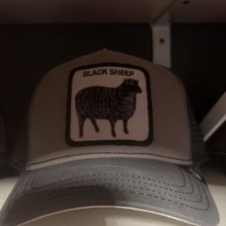Black Sheep 🐑 Goorin bros ajustable hat 40$ each