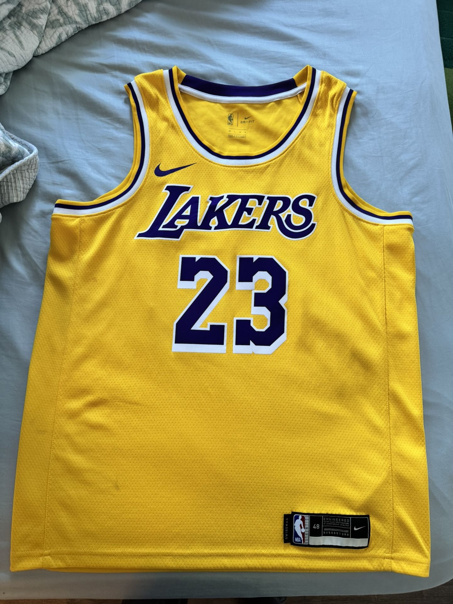 LeBron James Jersey