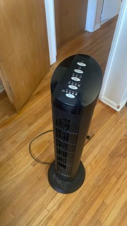Fan