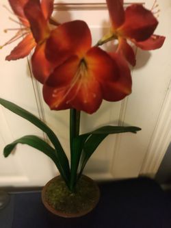 Beautiful brand New gift Artificial Red Amaryllis Flower Arrangement
