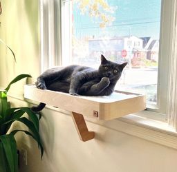 Wooden cat window perch