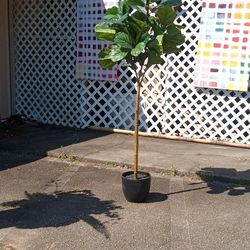 New Artificial Silk Tree's Looks Real 6ft Tall Looks Real High Quality Masterpiece 