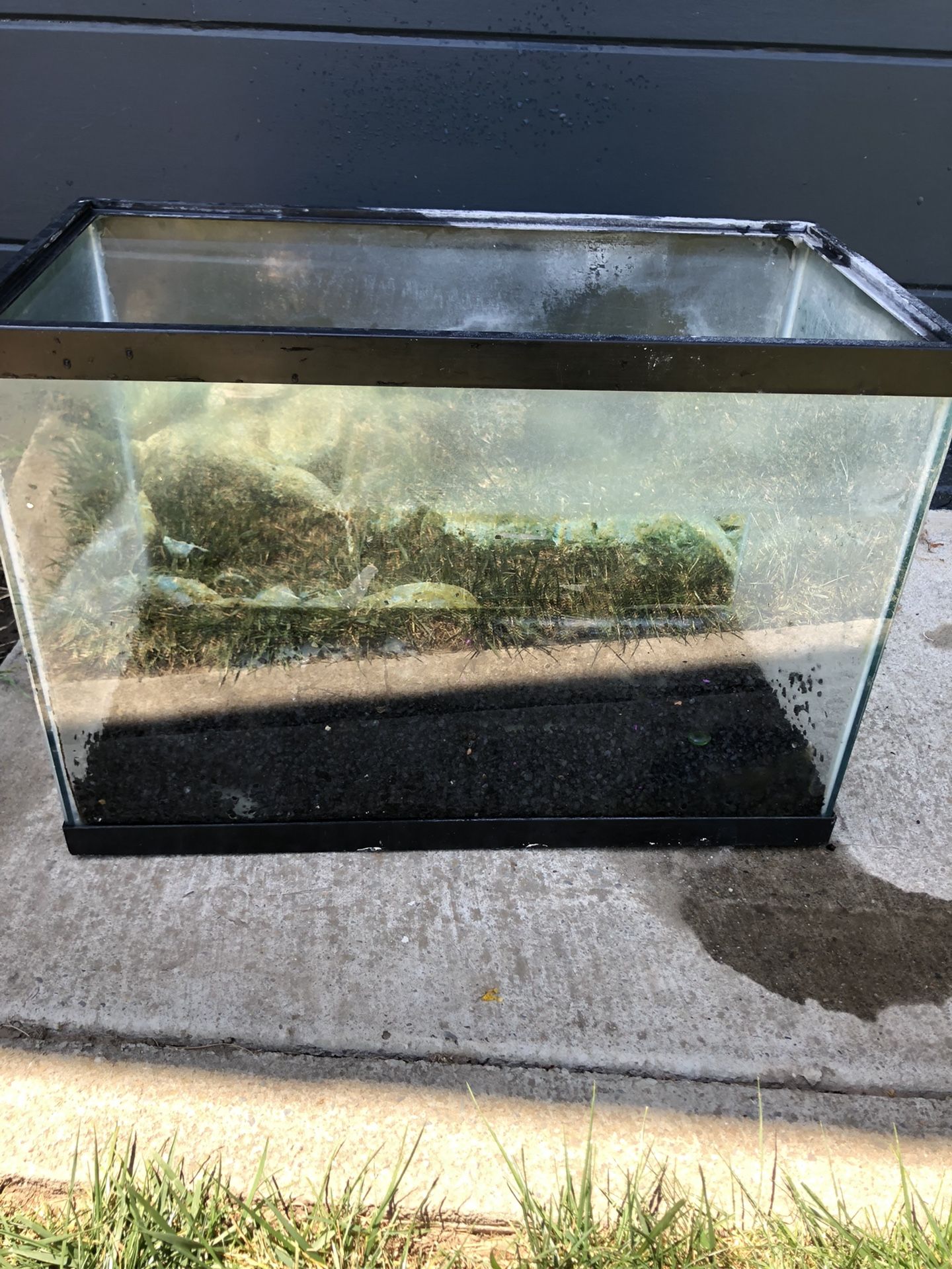 20 Gallon Fish Tank With Black Rocks