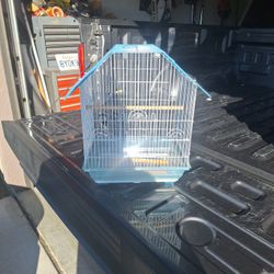Bird Cage 