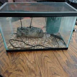 Reptile  Aquarium  With Filter And Heat Rock