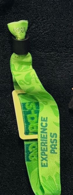 2 Day Trip Festival wristband