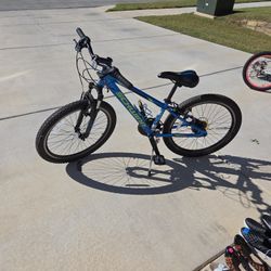 Schwinn Thrasher 24" Bike