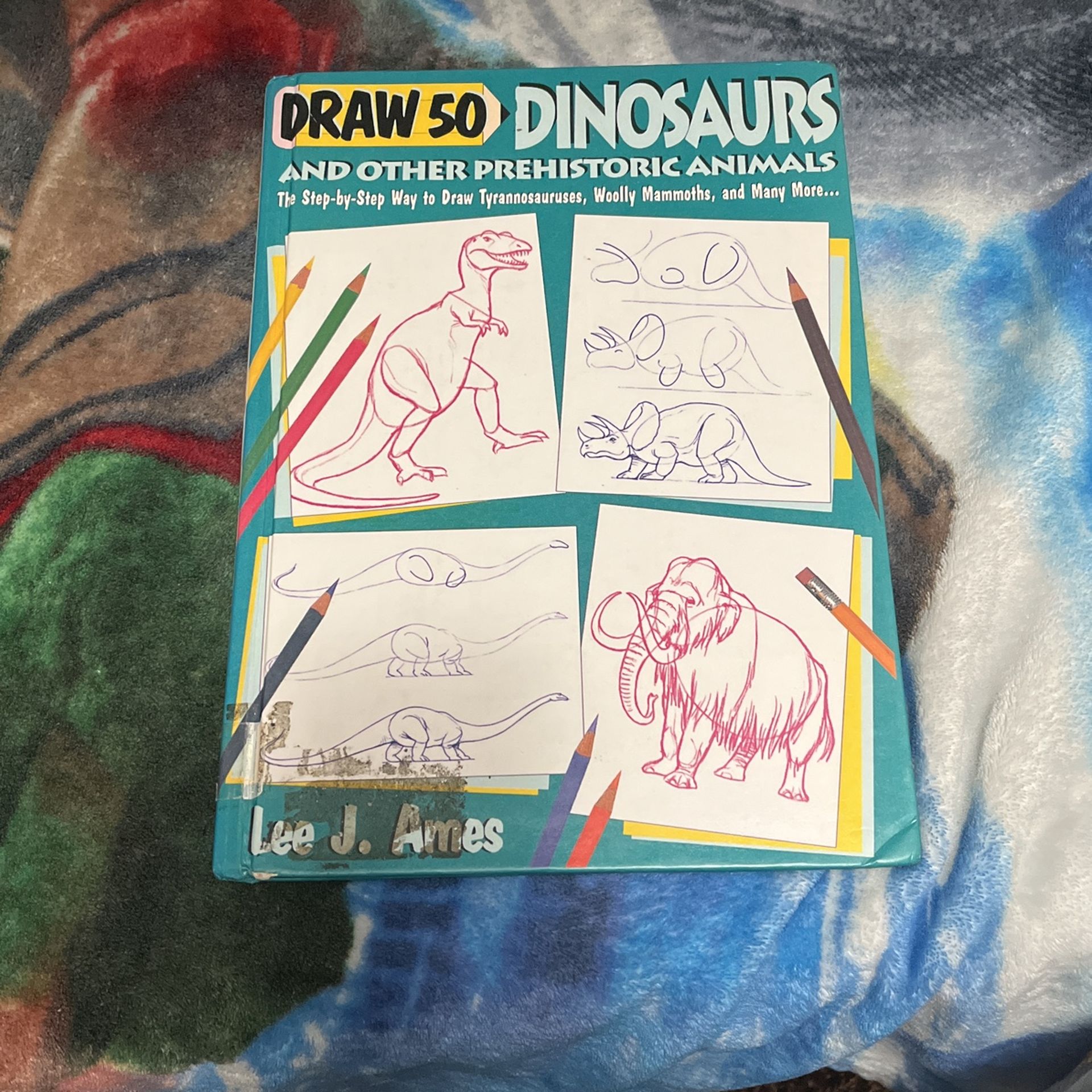 Dinosaur Drawing Book