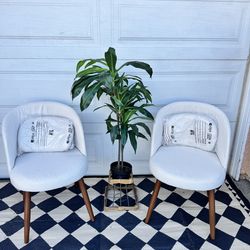 Set of 2, Dinning Chairs