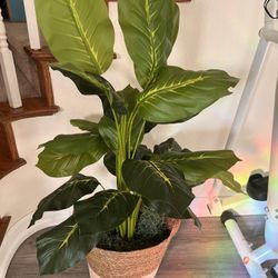 Artificial Home Plants , Home Decor 